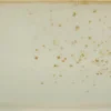 CREATABLE Schale NATURE COLLECTION