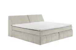 ED LIFESTYLE Boxbett BEARFORD