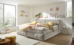 ED LIFESTYLE Boxbett BEARFORD