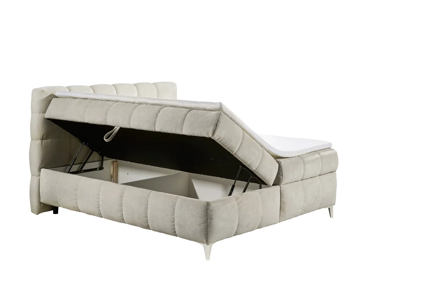 ED LIFESTYLE Boxbett KYLIE