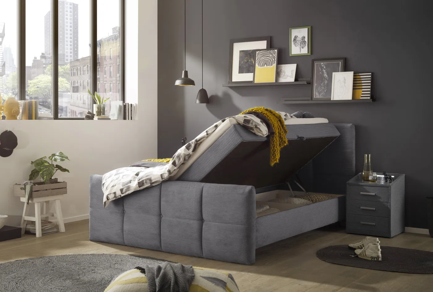 ED LIFESTYLE Boxbett TIJUANA