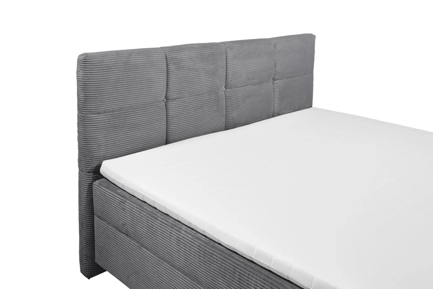 ED LIFESTYLE Boxbett TIJUANA