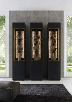 HARTMANN Vitrine RUNA