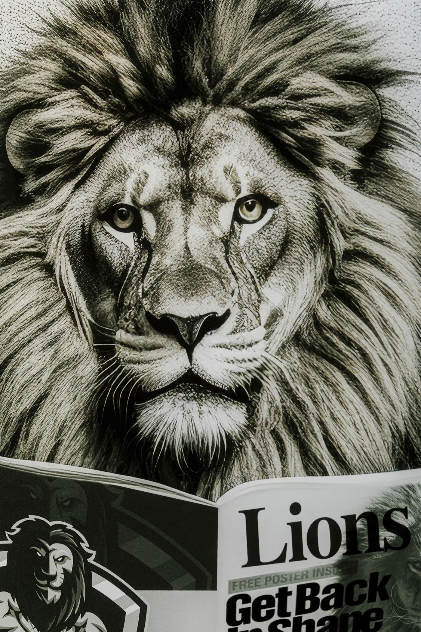 KARE Glasbild BATH LION