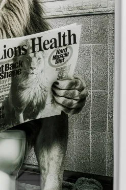 KARE Glasbild BATH LION