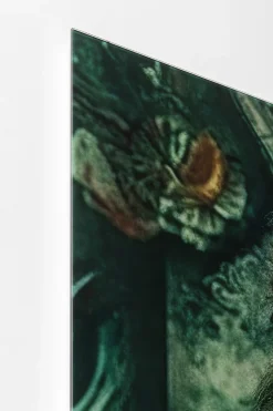 KARE Glasbild MISTER LION