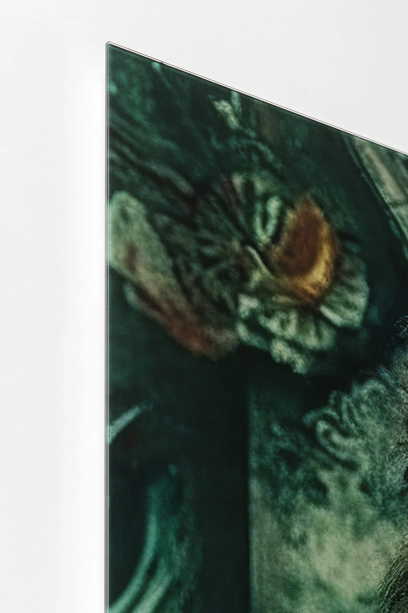 KARE Glasbild MISTER LION