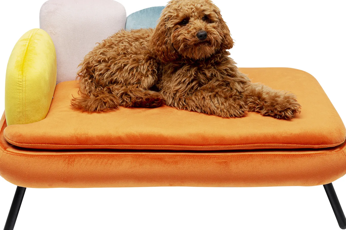 KARE Hundebett DIVA