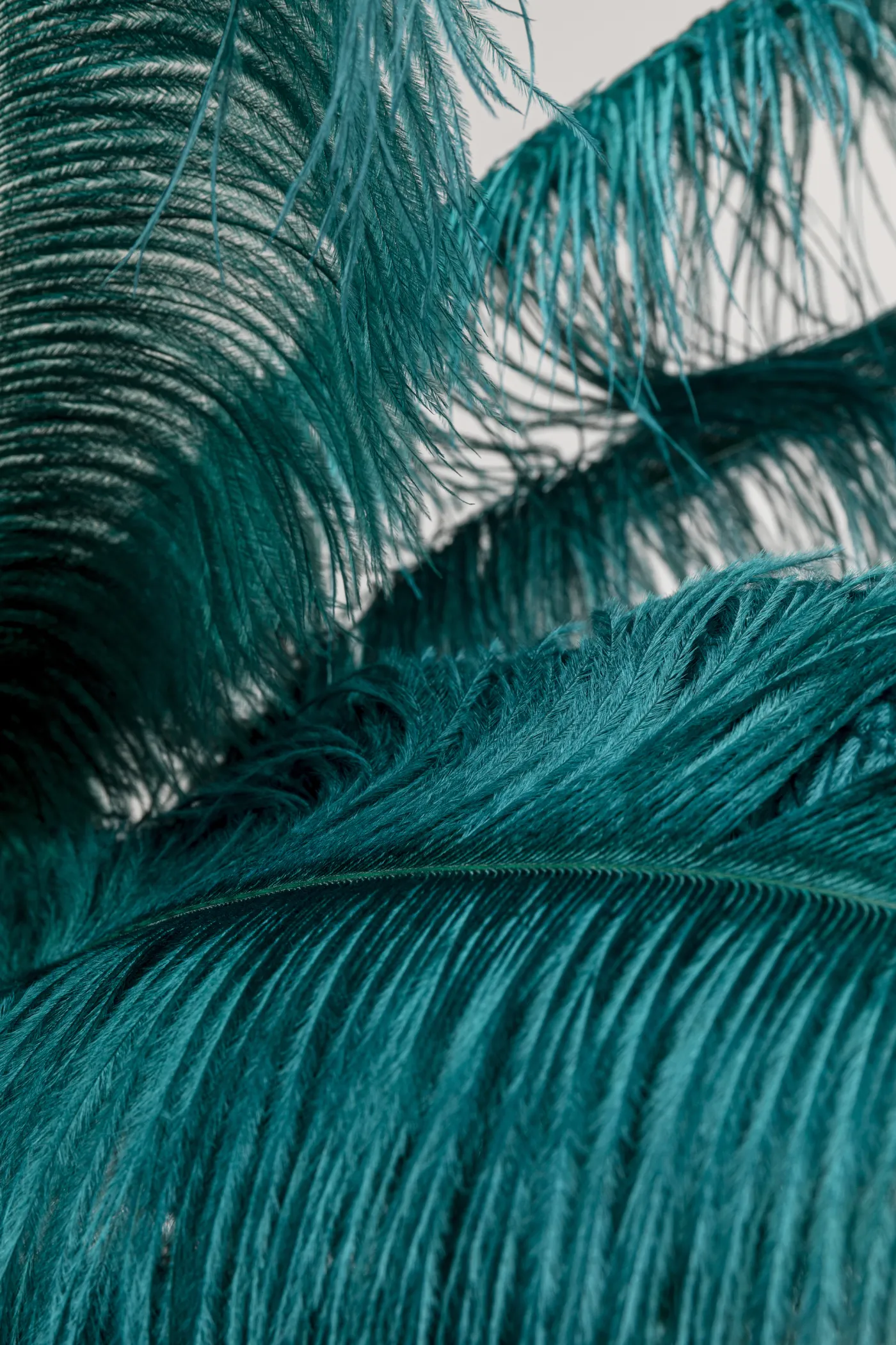 KARE Stehleuchte FEATHER PALM