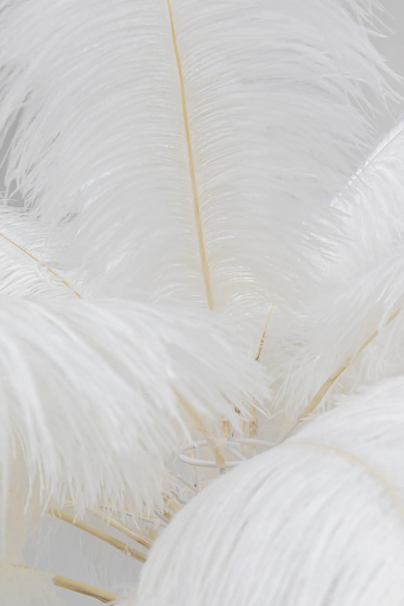 KARE Stehleuchte FEATHER PALM
