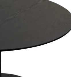 M2 KOLLEKTION Couchtisch IDA 2
