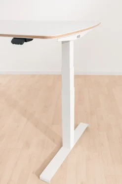 PAIDI Schreibtisch E-LION