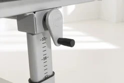 PAIDI Schreibtisch MARCO 2