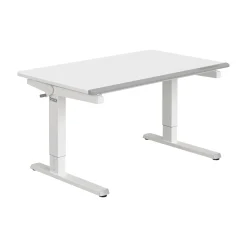 PAIDI Schreibtisch TEENIO