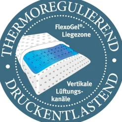 PARADIES Kissen FLEXOGEL® DREAM