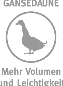 PARADIES Kopfkissen MALI BIO FEST