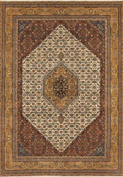 Teppich ARAS BIDJAR
