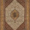 Teppich ARAS BIDJAR